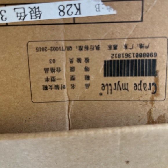 NWT Crape Myrtle Silver heels - Picture 8 of 11